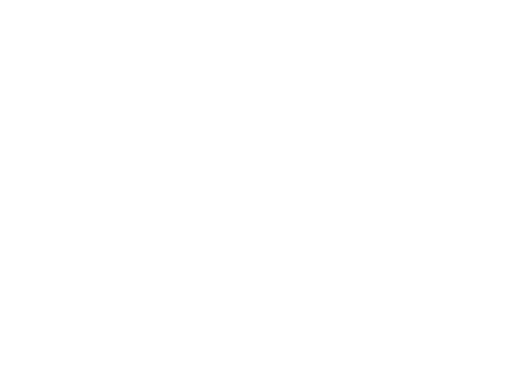 Dreamers_Brands_TEI Tennessee Enterprises, Inc. white logo